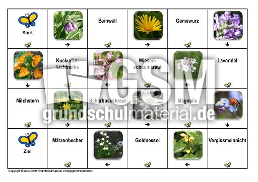 Domino-Frühlingsblüten-3.pdf